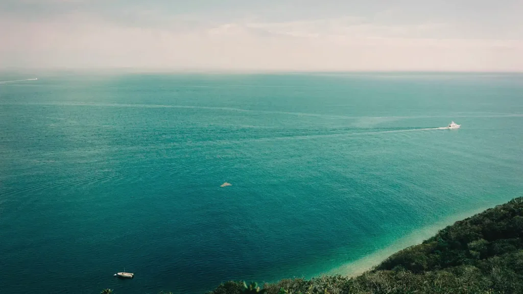 Turquoise sea seen from a green coastal hillside