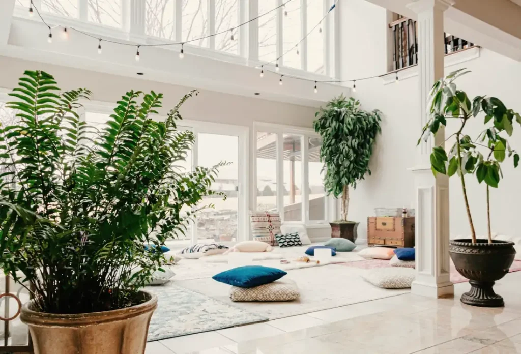A bright living space with plants and floor cushions