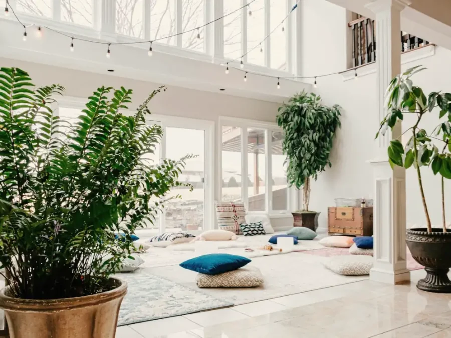 A bright living space with plants and floor cushions