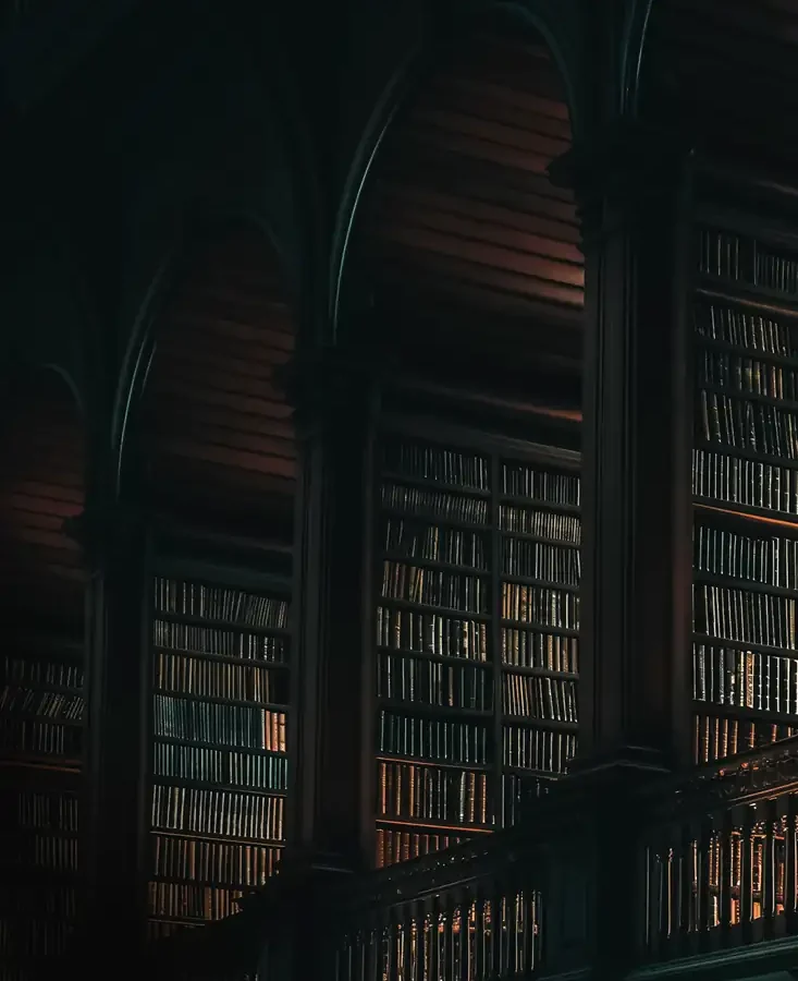 A dark library with tall bookshelves