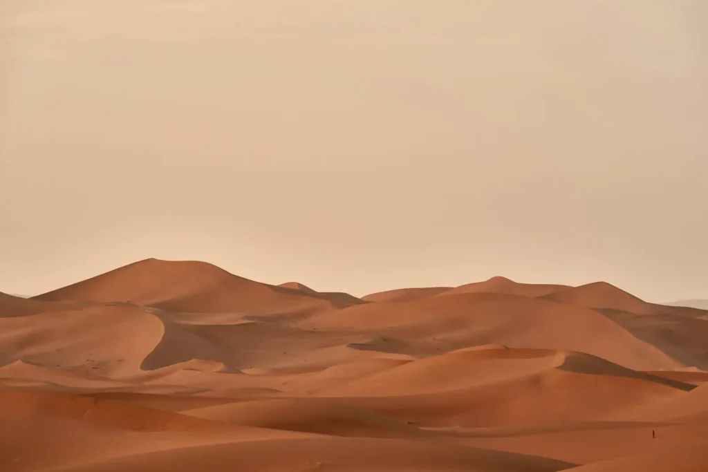 Sand dunes in the Sahara under a pale sky