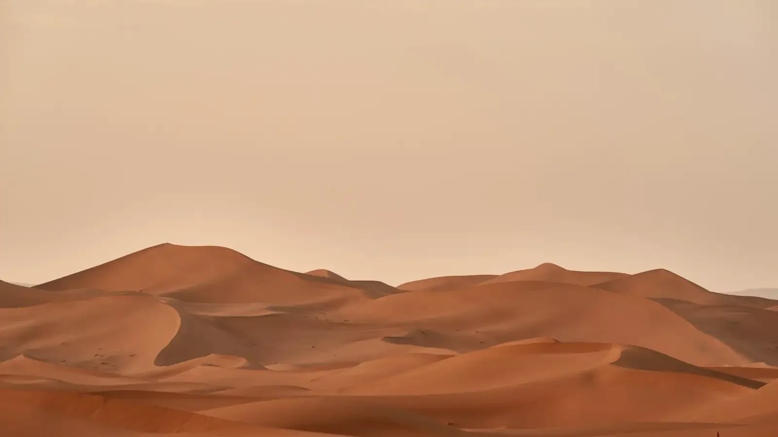 Sand dunes in the Sahara under a pale sky
