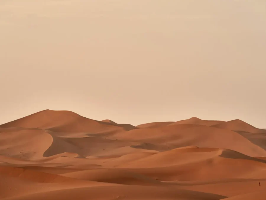 Sand dunes in the Sahara under a pale sky